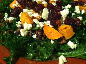 A fall version with blue cheese, lentils, sweet potatoes, and cranberries
